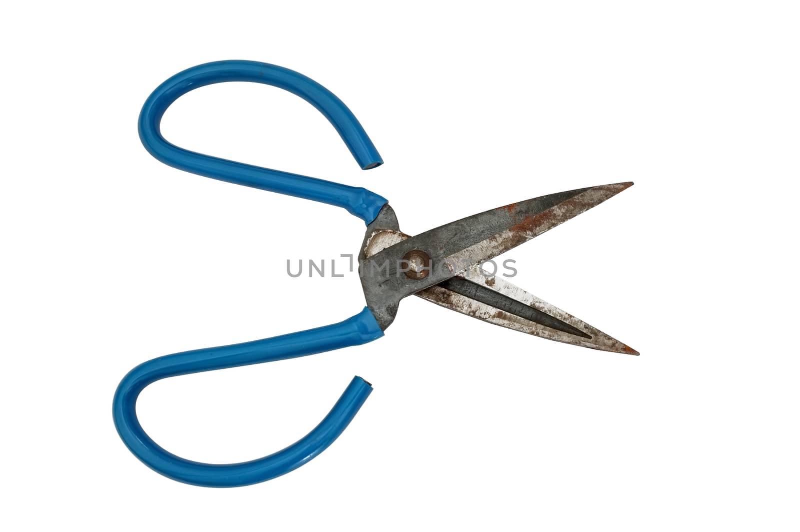 Rusty blue rubber handles scissors by Hepjam