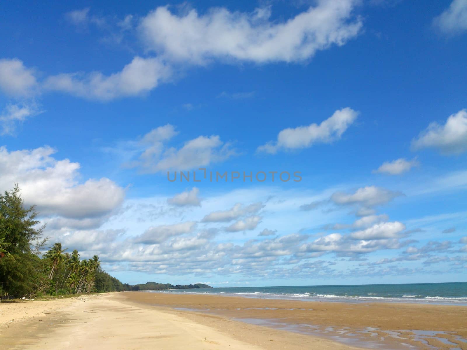 Ocean wave and tropical beach