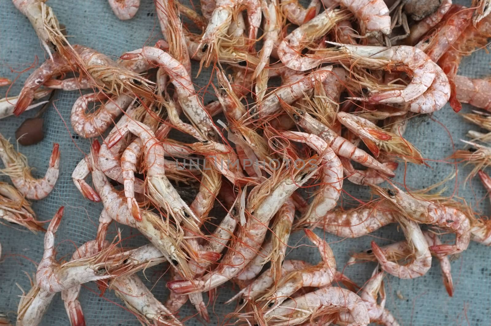 Dried shrimp, preserved seafood