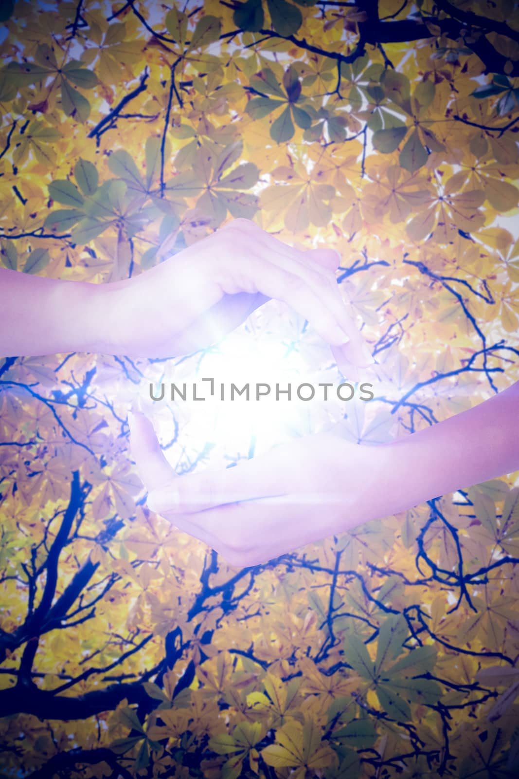 Hands showing against branches and autumnal leaves