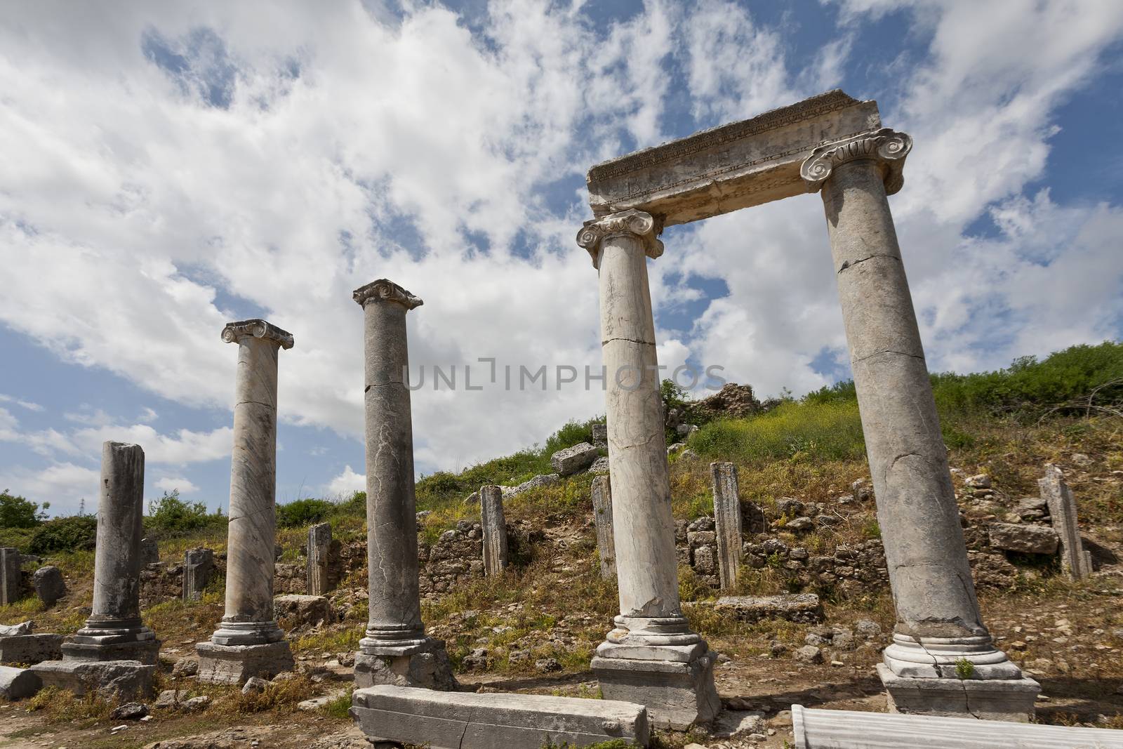 Ionic Columns along the Main Road in Historic Perga