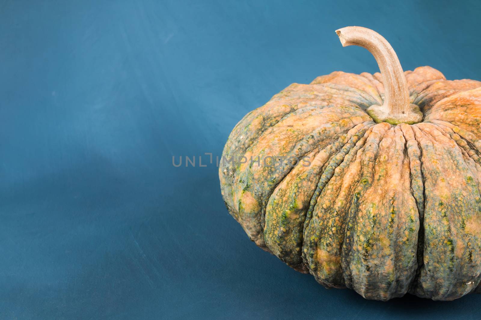 Fresh pumpkin on blue painted background with open space