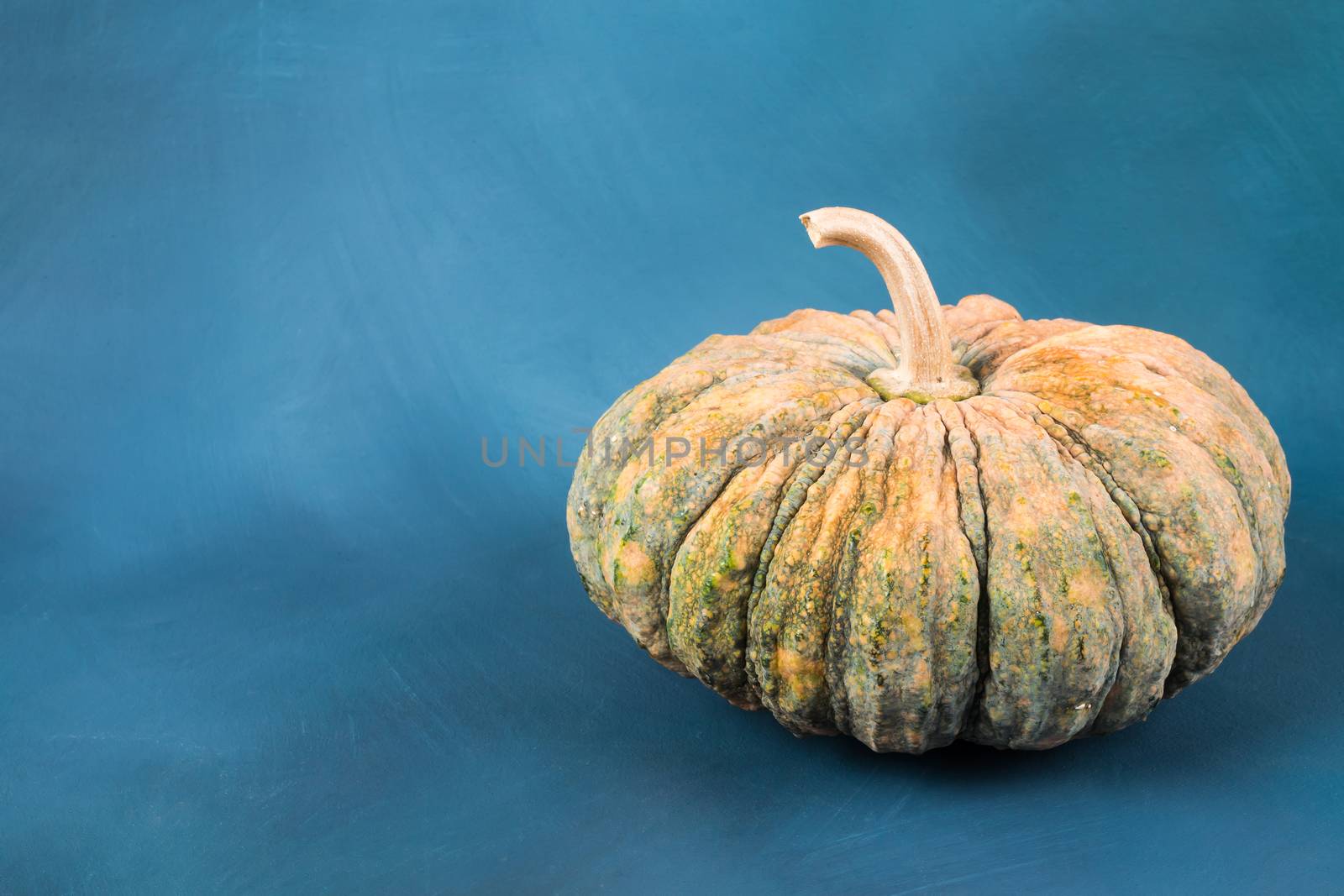 Fresh pumpkin on blue painted background with open space