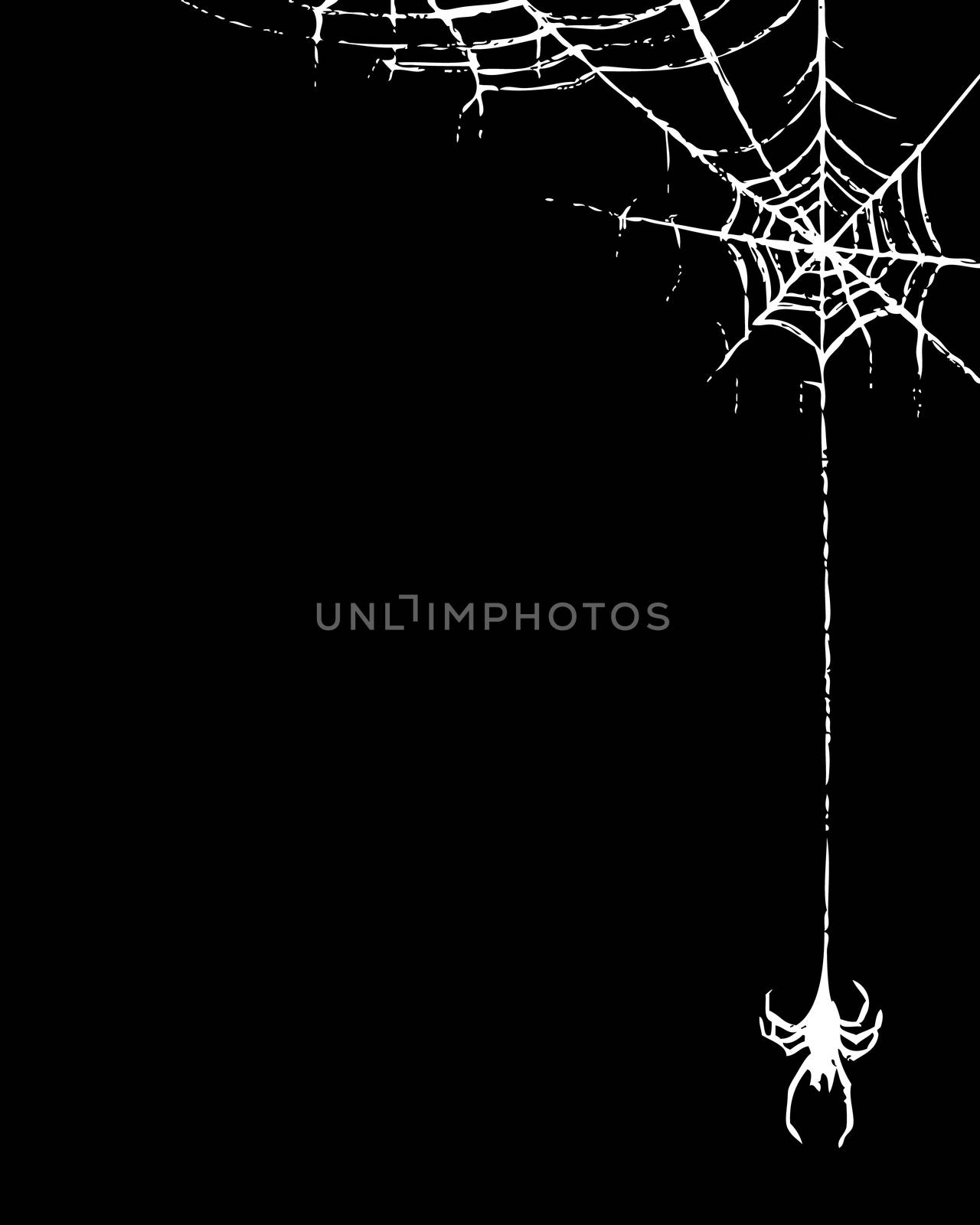 spider and web by simpleBE