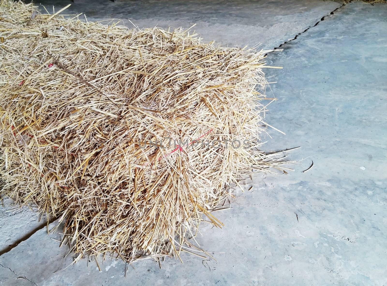 rice straw on cement floor