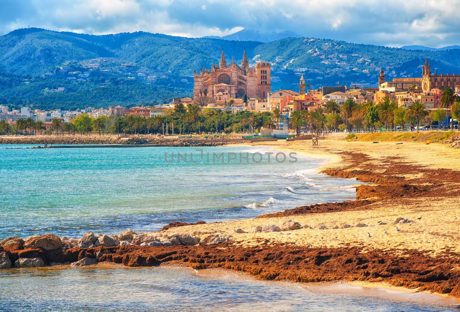 Sand beach in Palma de Mallorca, gothic cathedral in background, Spain by GlobePhotos