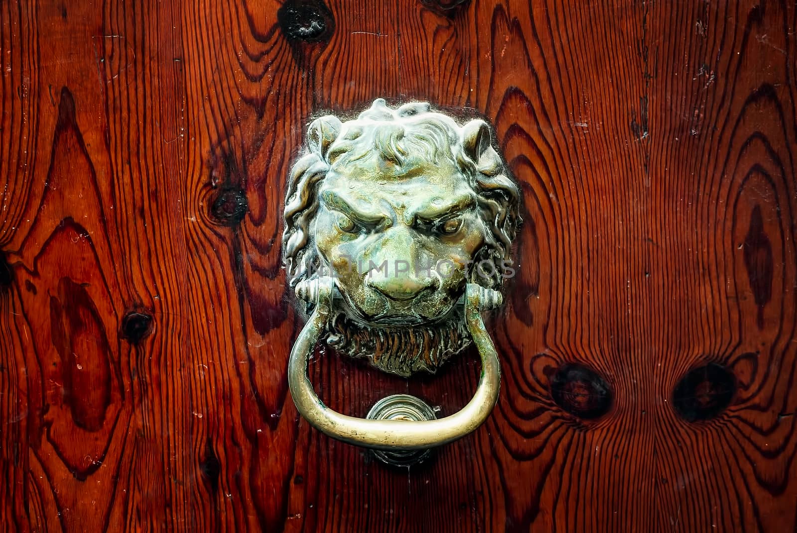 Decorative bronze lion head door knob on a dark wooden background