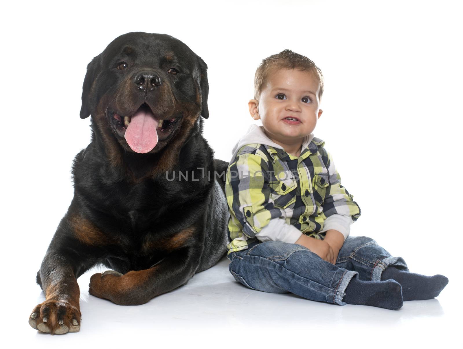 little boy and rottweiler by cynoclub