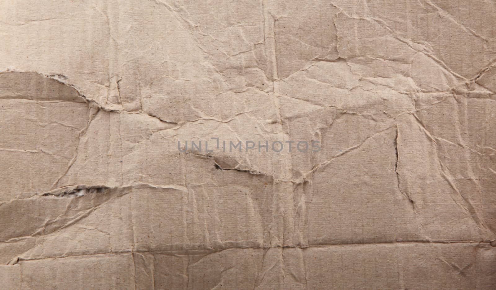 Cardboard Texture by nenov