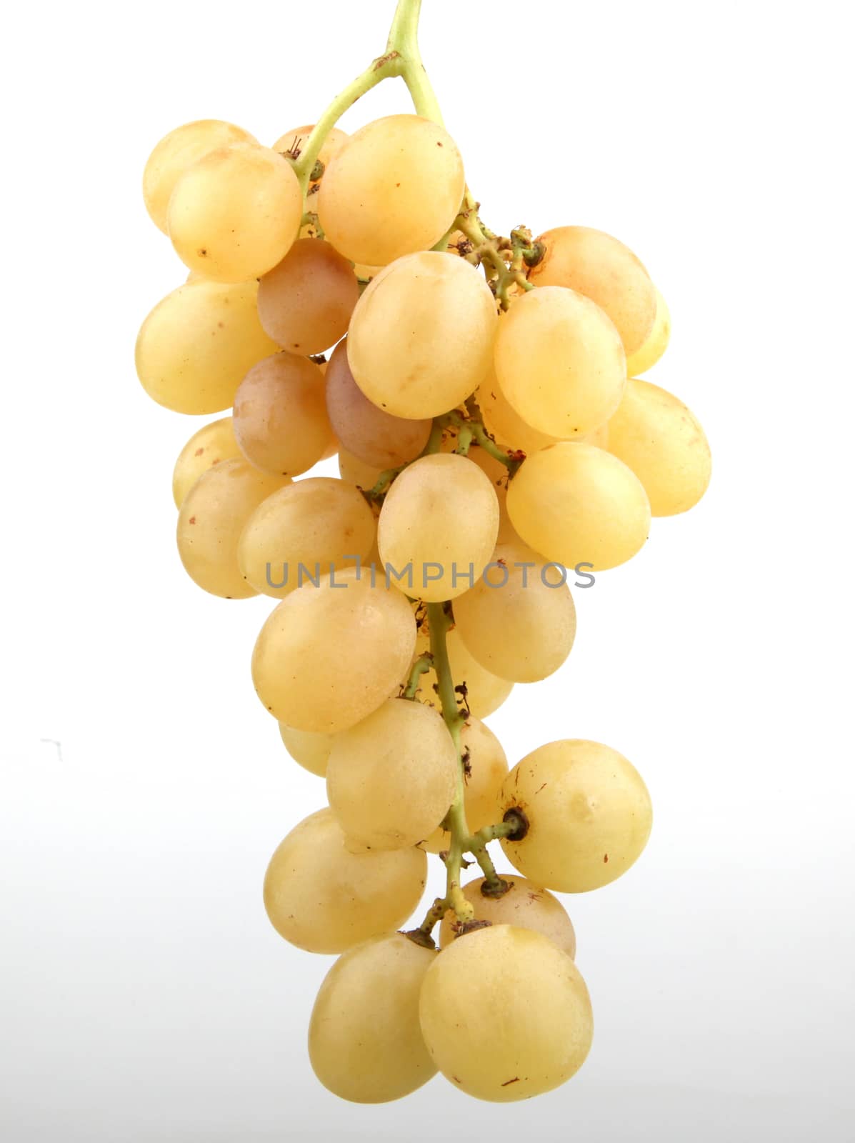 white grape on white background