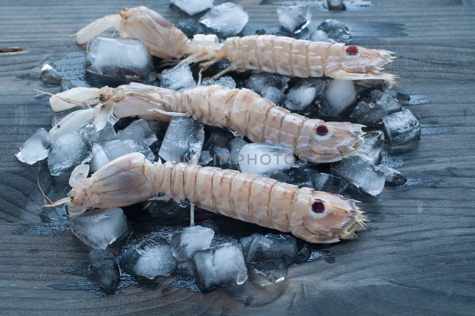 
Fresh mullet lying on a bed of ice by gringox