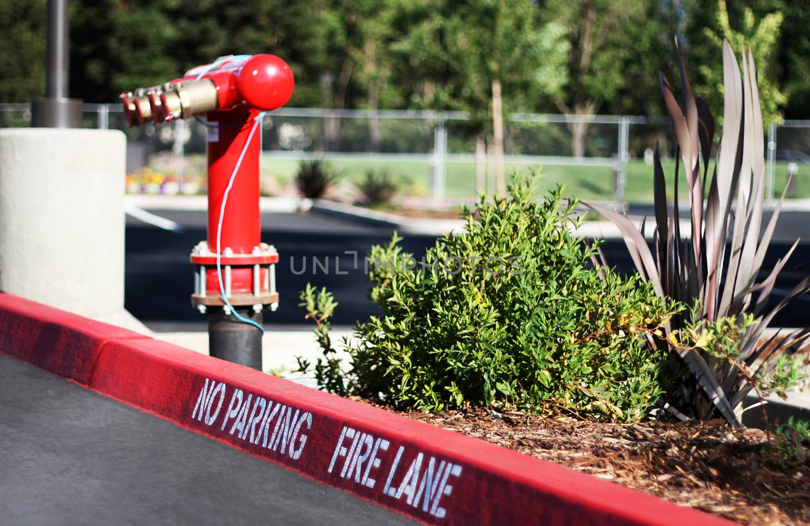 Fire Lane by ziss