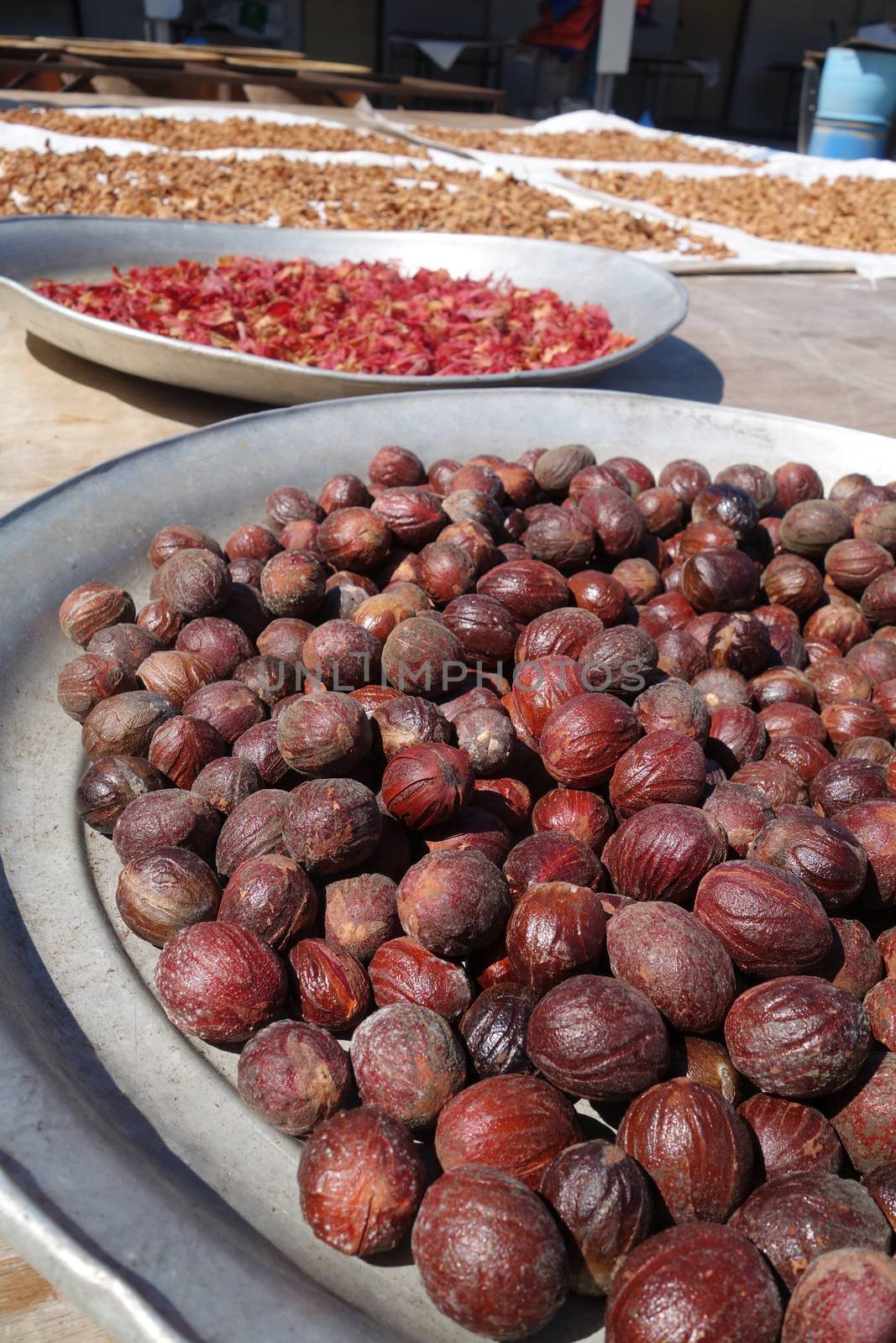Dried nutmeg seeds. The hard brown seed from the nutmeg tree (a tropical evergreen) has a warm, spicy sweet flavor.