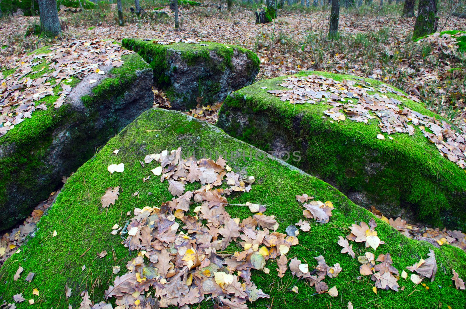 The tract stone village, Zhytomyr region village of Rudnya- Zamy by dolnikow