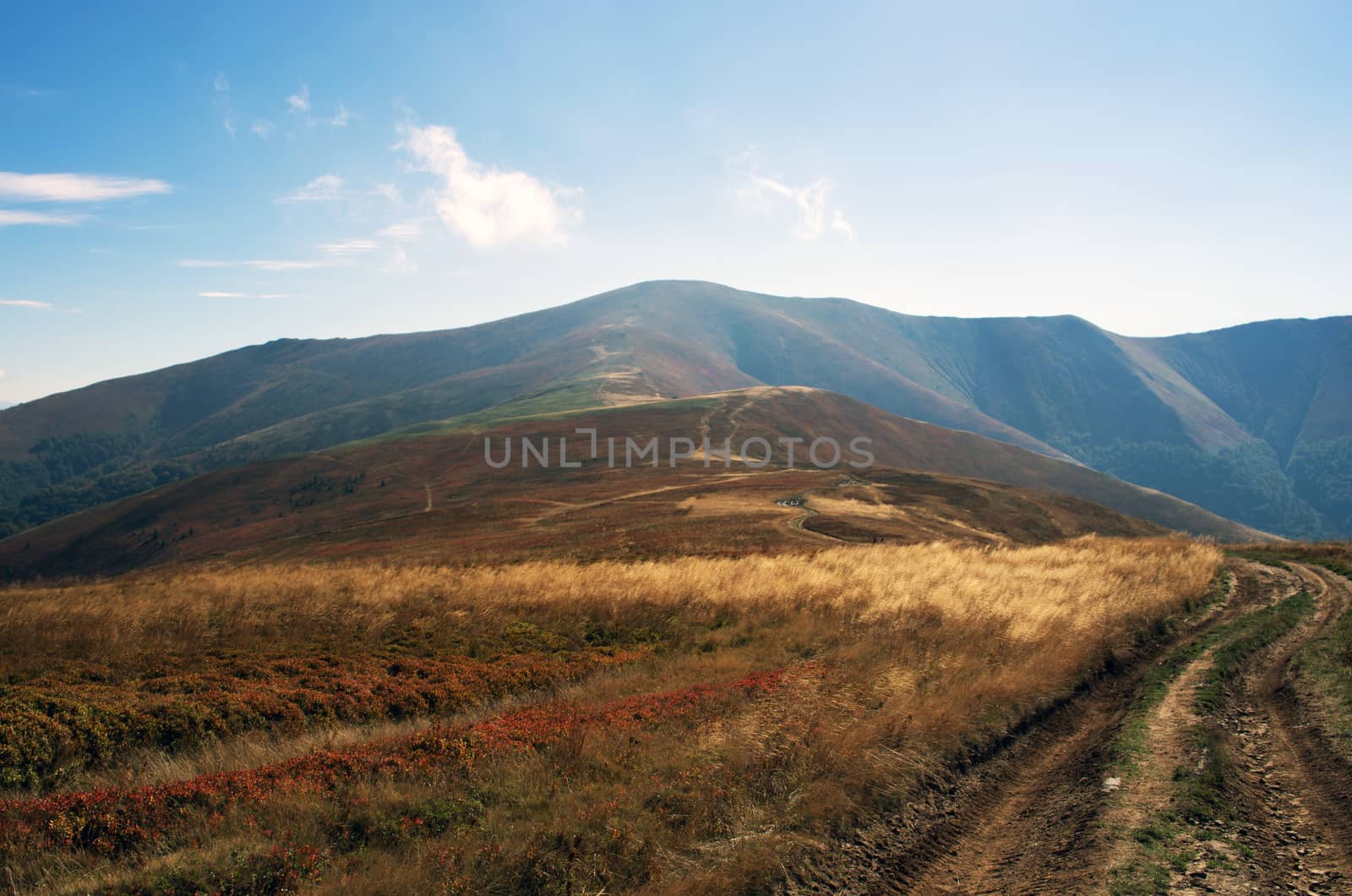 Paints fantastic fall in the Carpathian Mountains by dolnikow