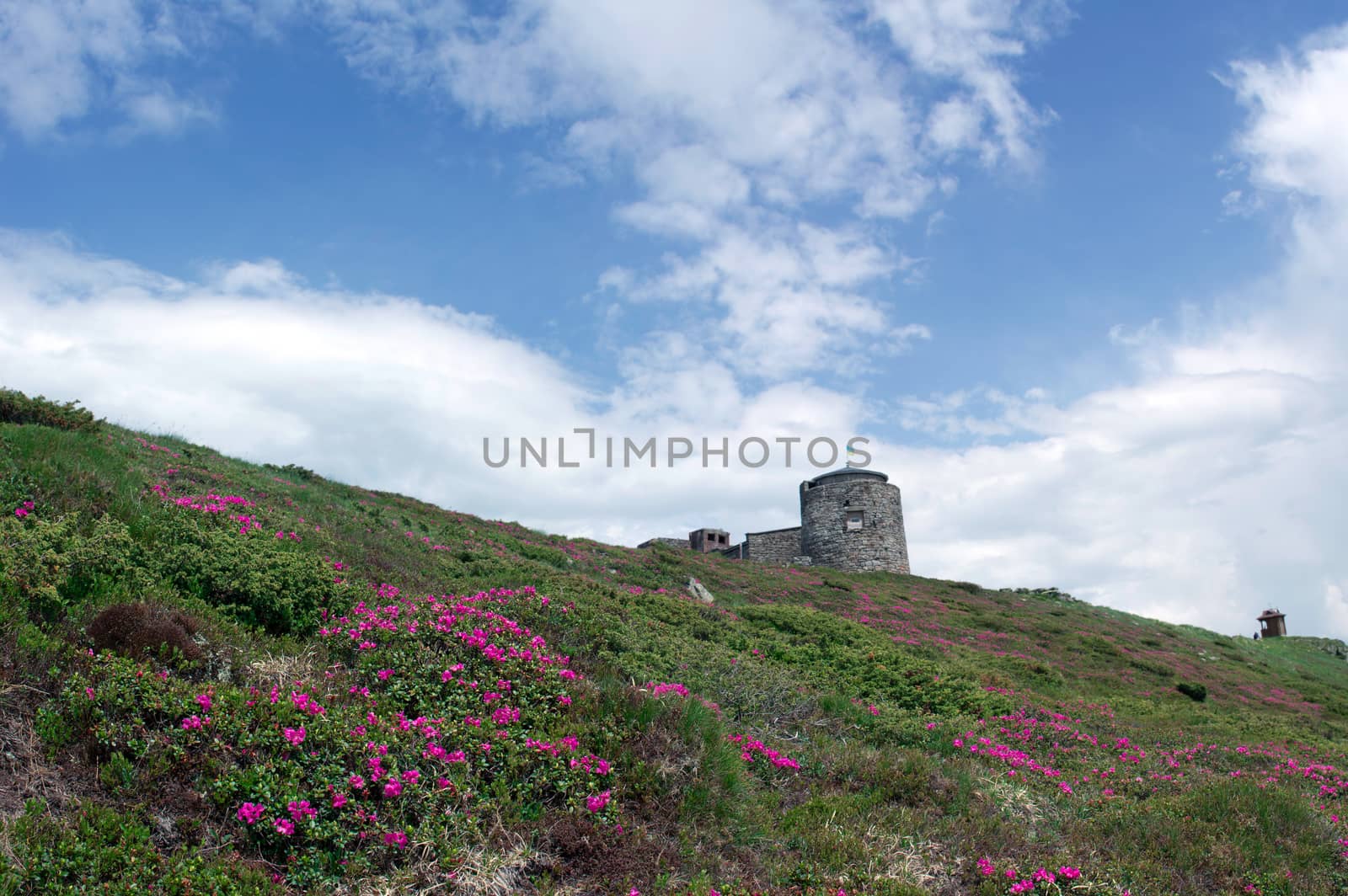 Ruins of astronomical observatory called White Elephant in Czarn by dolnikow