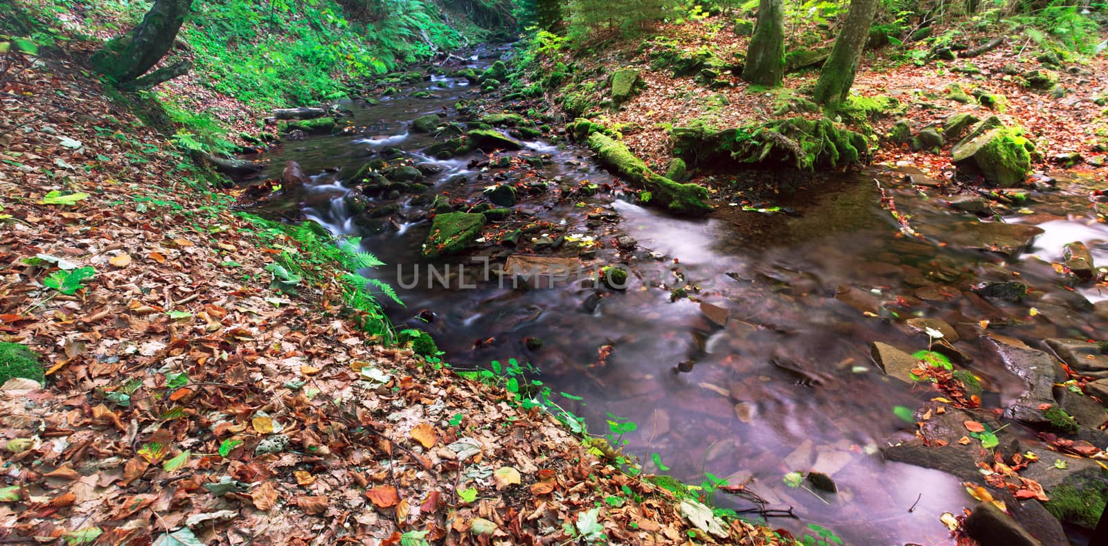 beautiful waterfall scene, ukraine carpathian shipot waterfall by dolnikow