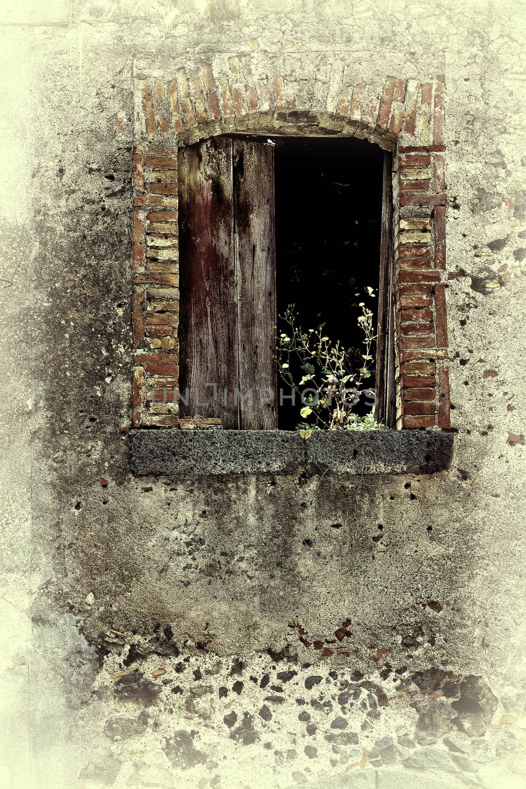 Window of Dilapidated Houses Decorated with Wild Plants in Sicily, Vintage Style Toned Picture