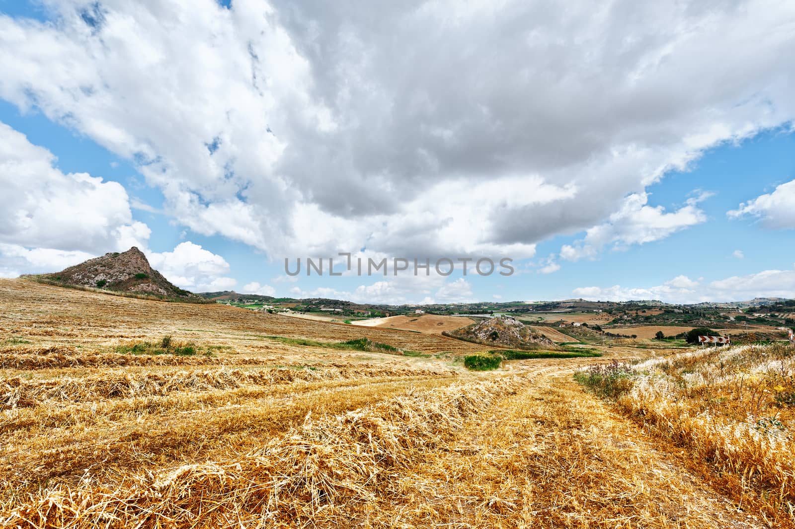 Mown Wheat Field on the Hill in Sicily, Italy