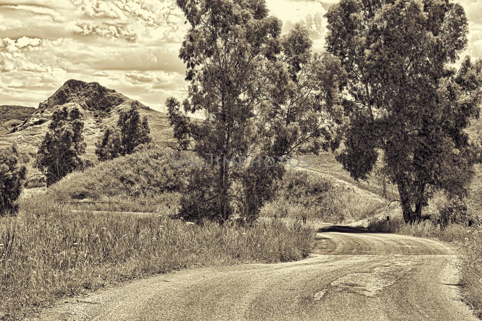 Old Broken Road between Spring  Fields of Sicily, Retro Image Filtered Style