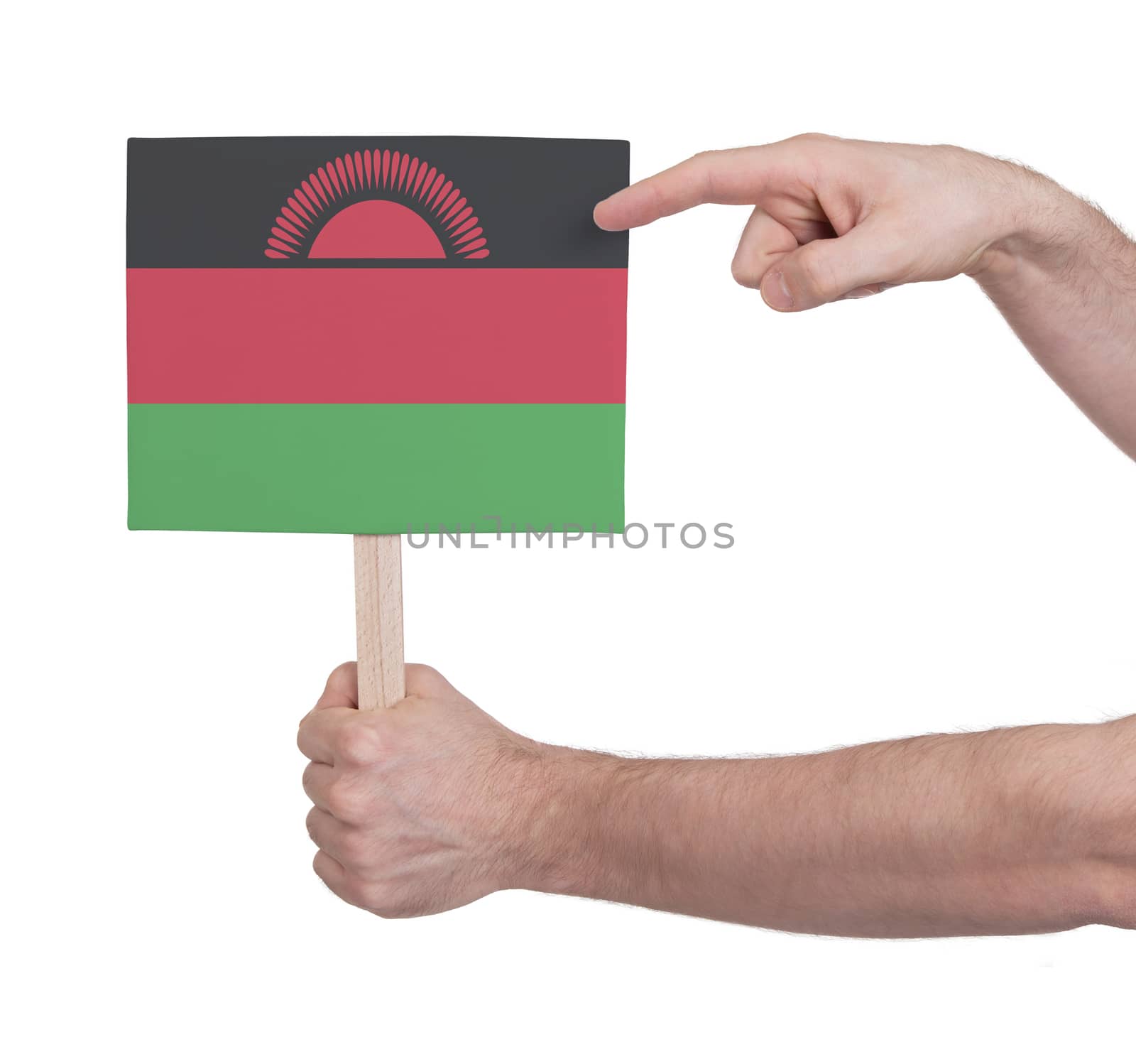 Hand holding small card - Flag of Malawi by michaklootwijk