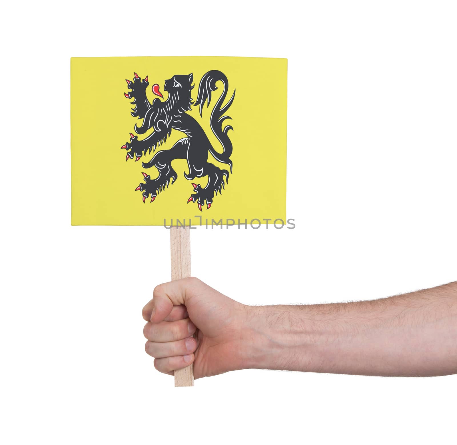 Hand holding small card - Flag of Flanders by michaklootwijk
