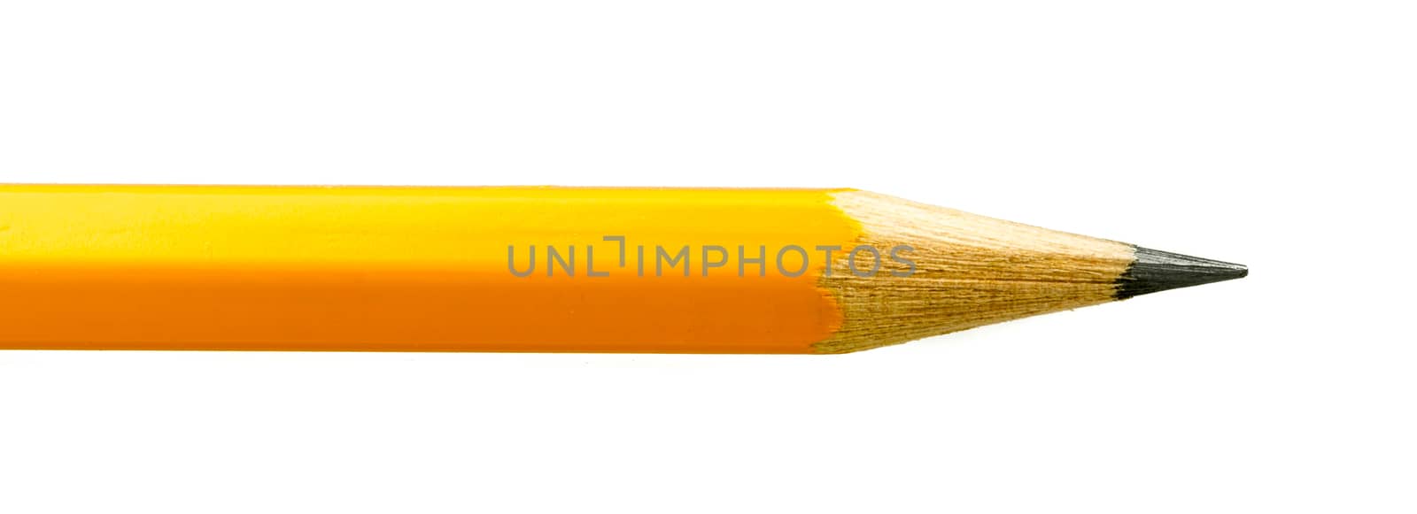 Yellow Pencil Close Up isolated on a white background.