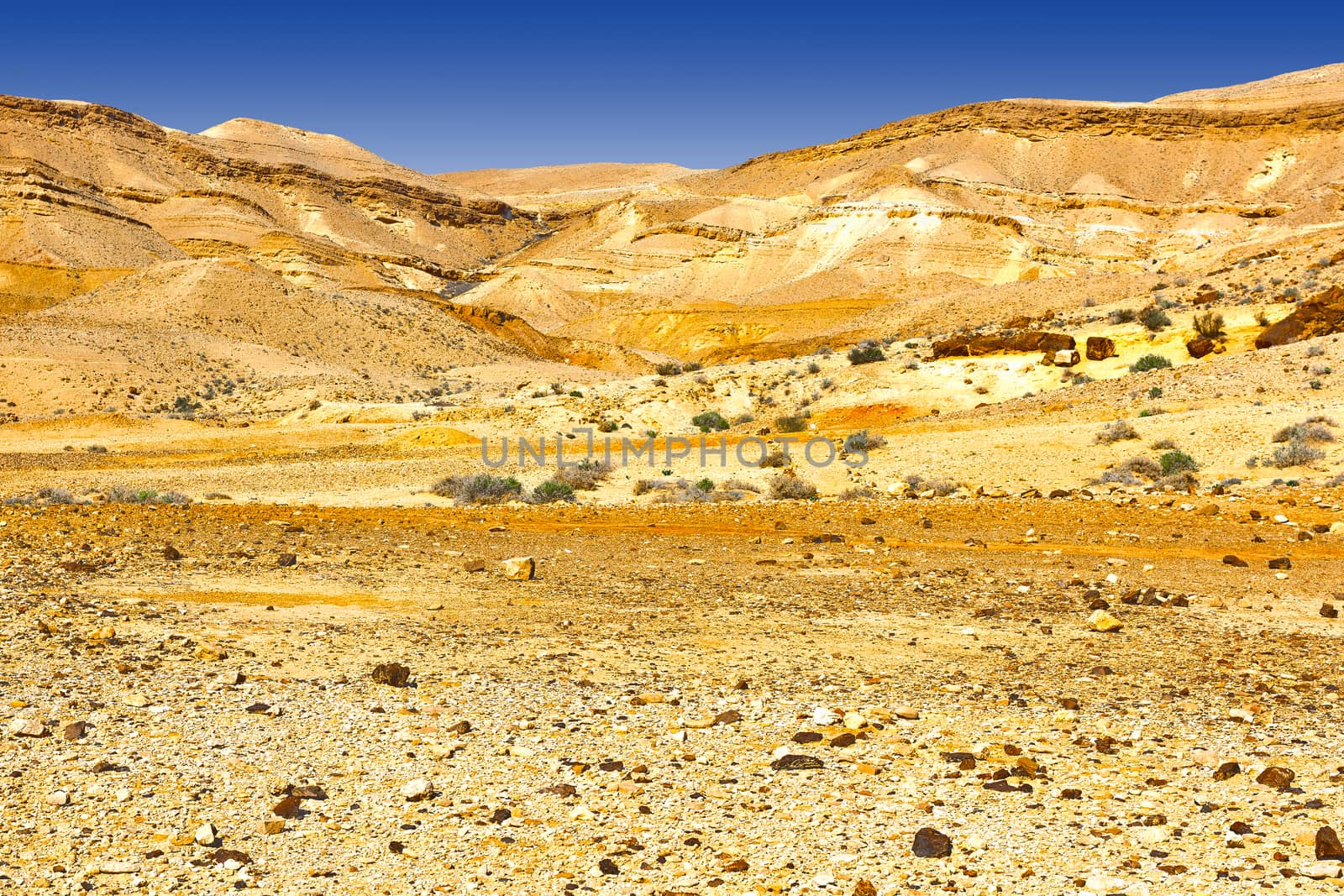 Desert in Israel by gkuna