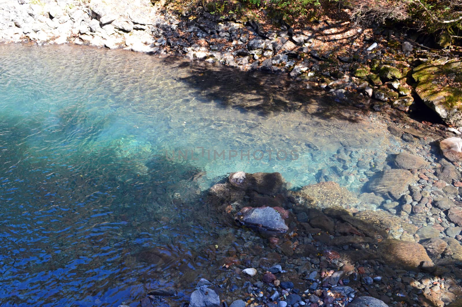 Beautiful river in Nagano Japan