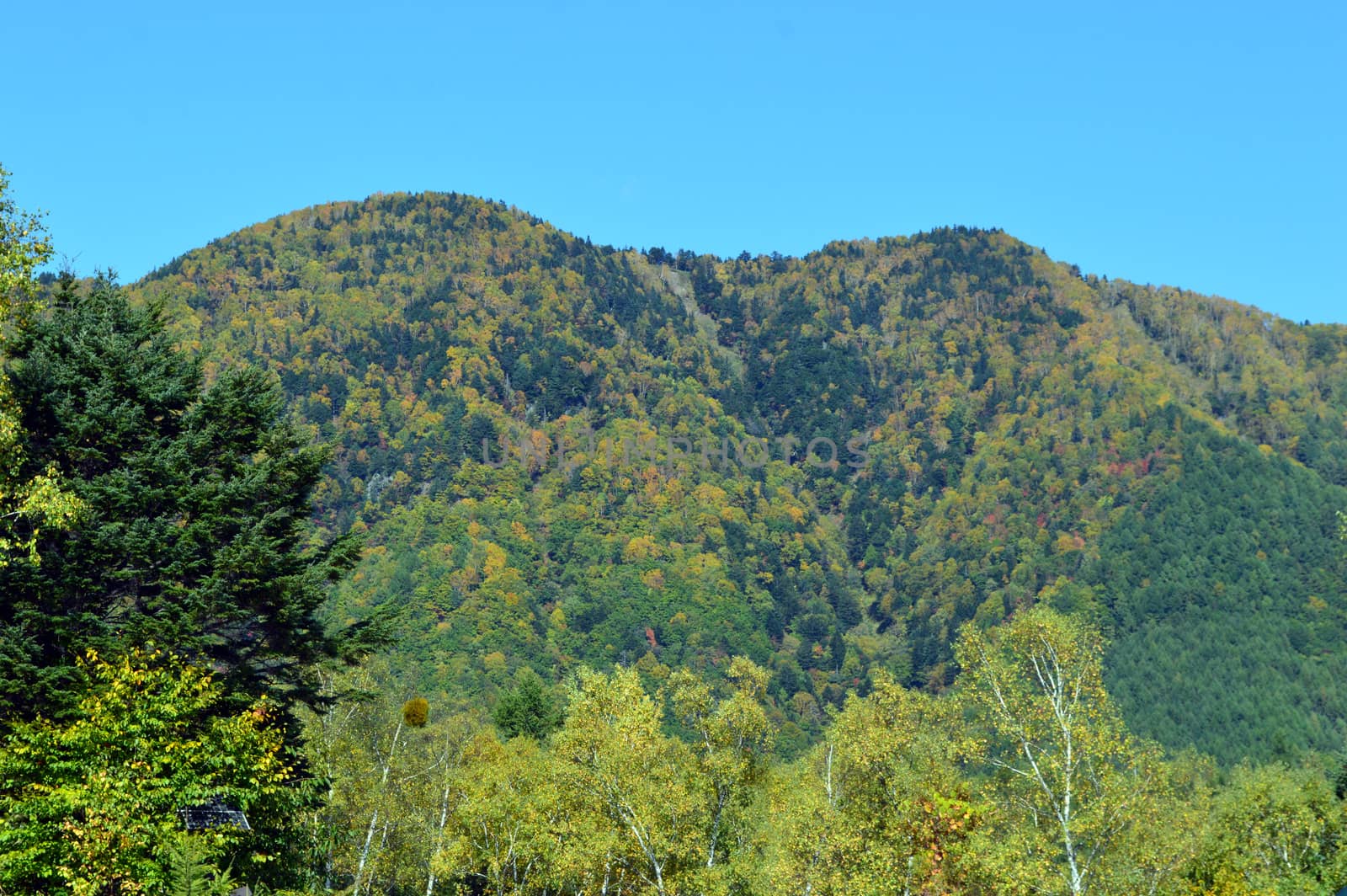 Beautiful mountain in Nagano Japan