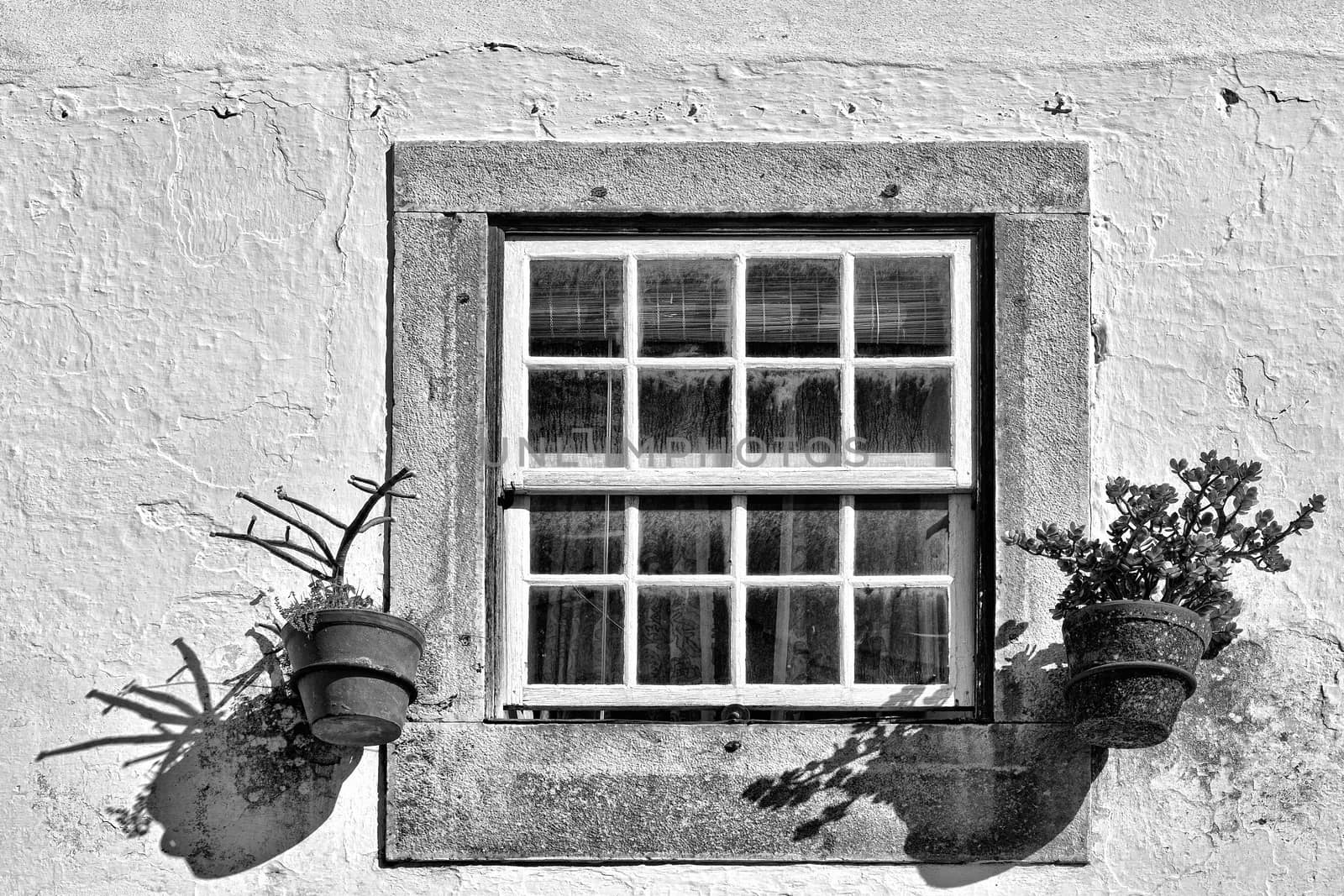 Window of Portuguese Home Decorated with Flower, Retro Image Filtered Style