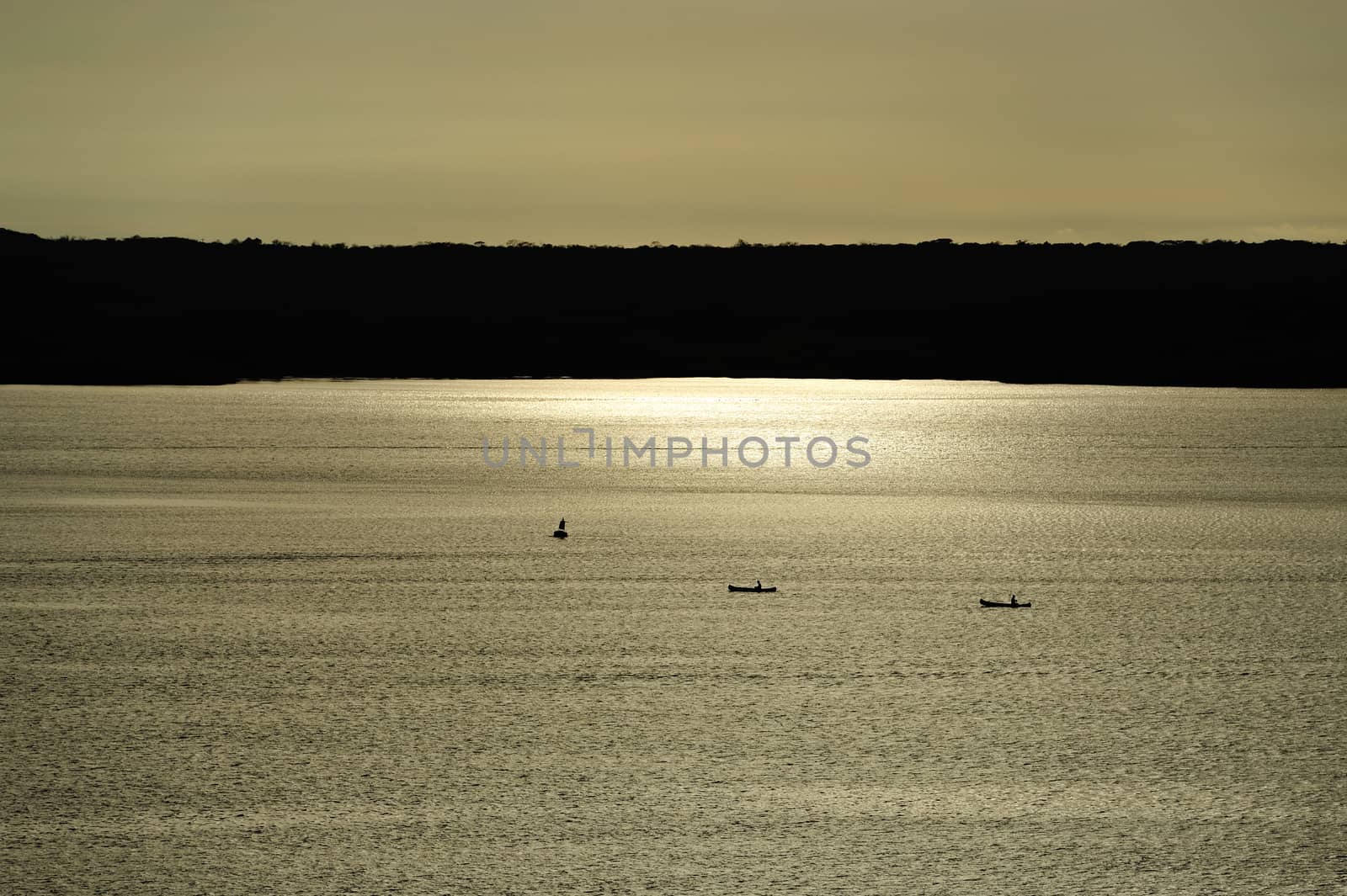 Fish boats in sunset light