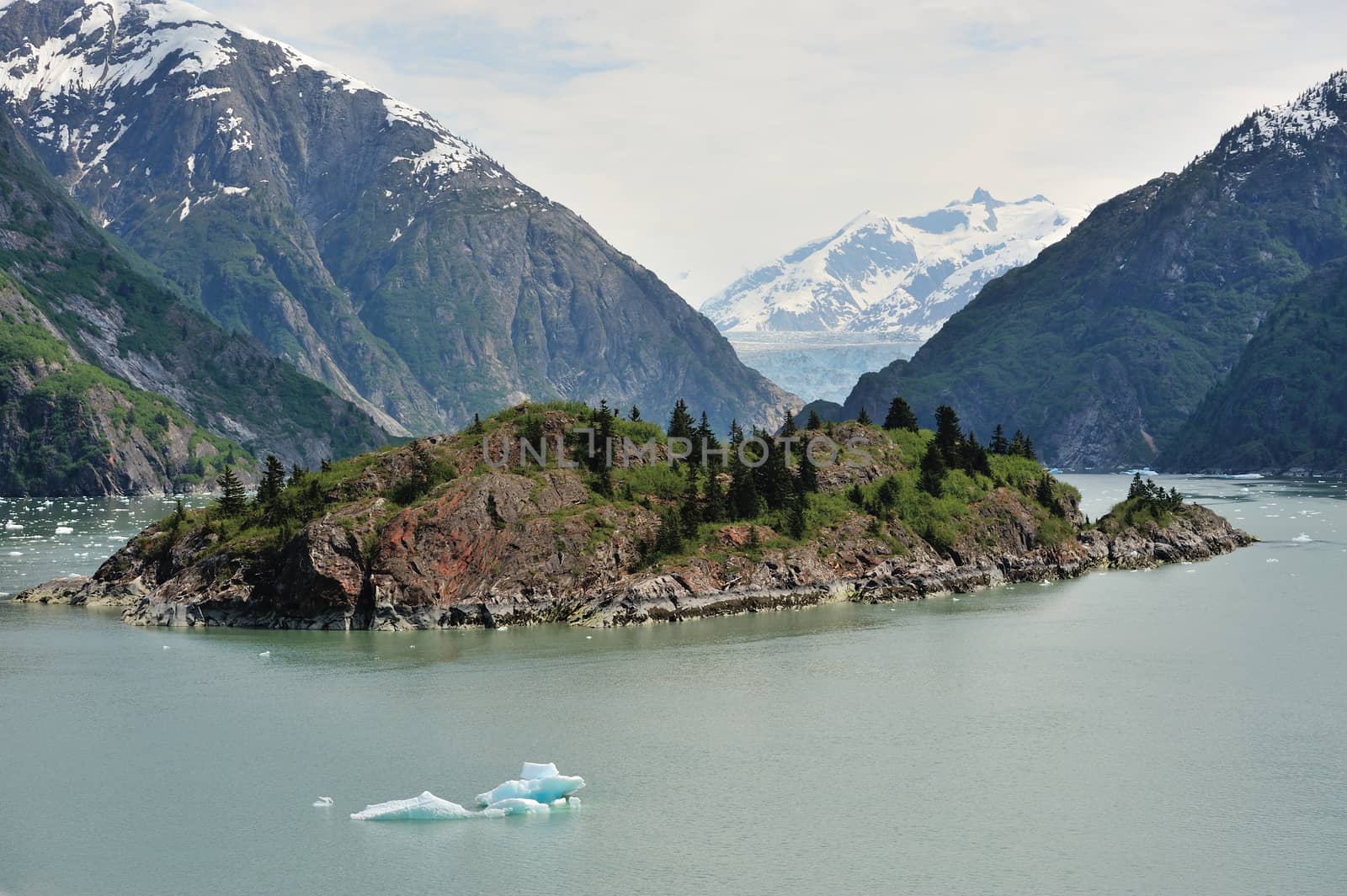 A view in Alaska