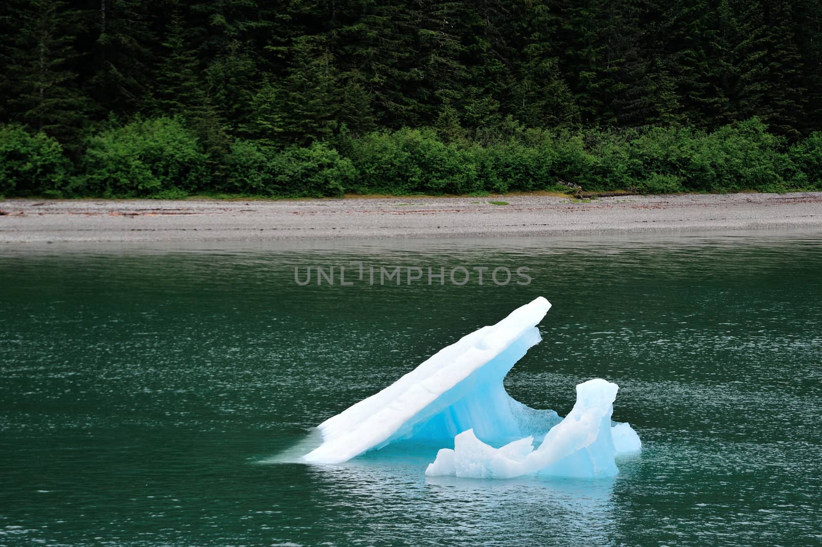 A view in Alaska 