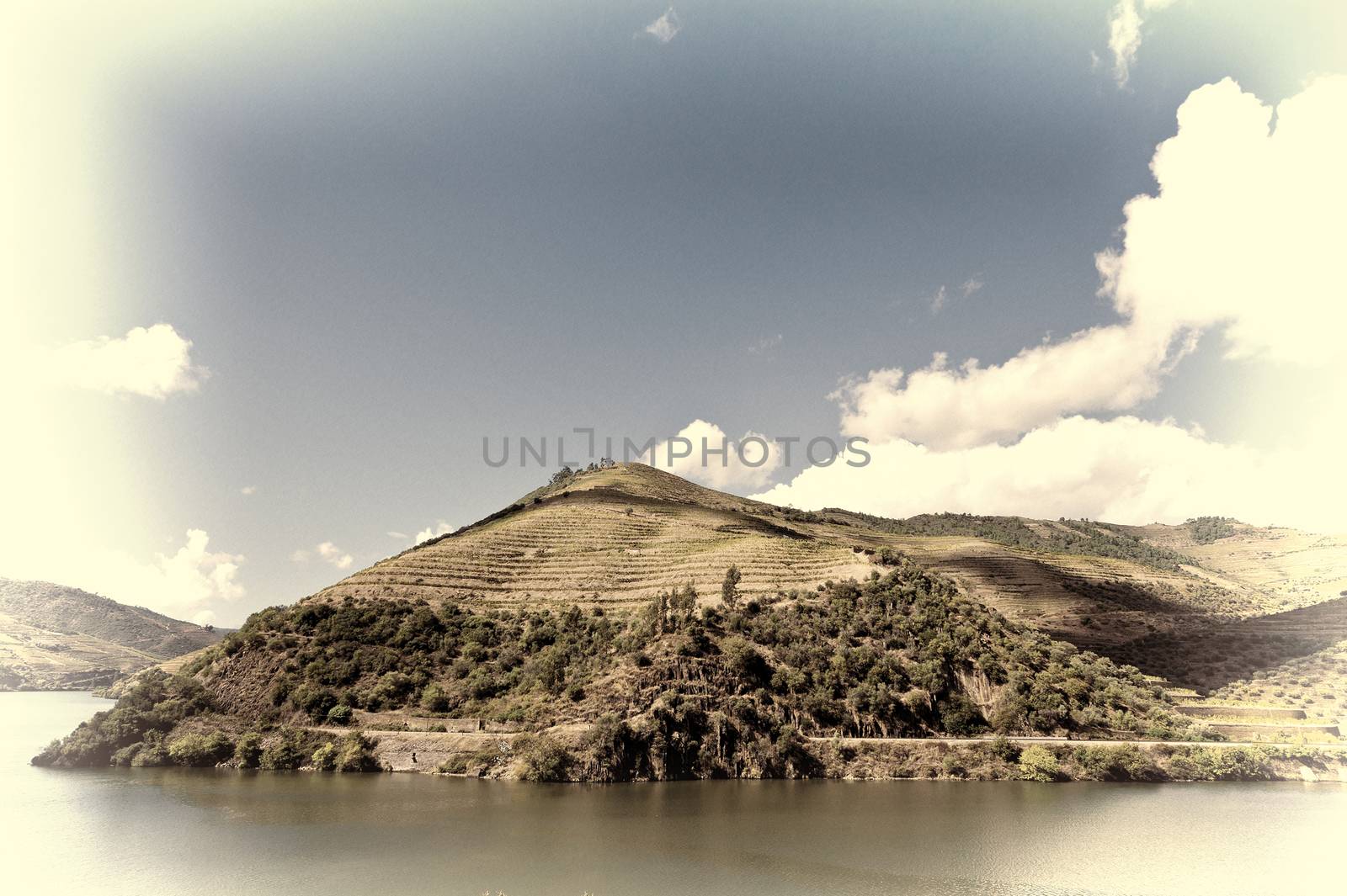 Vineyards in the Valley of the River Douro, Portugal, Retro Image Filtered Style