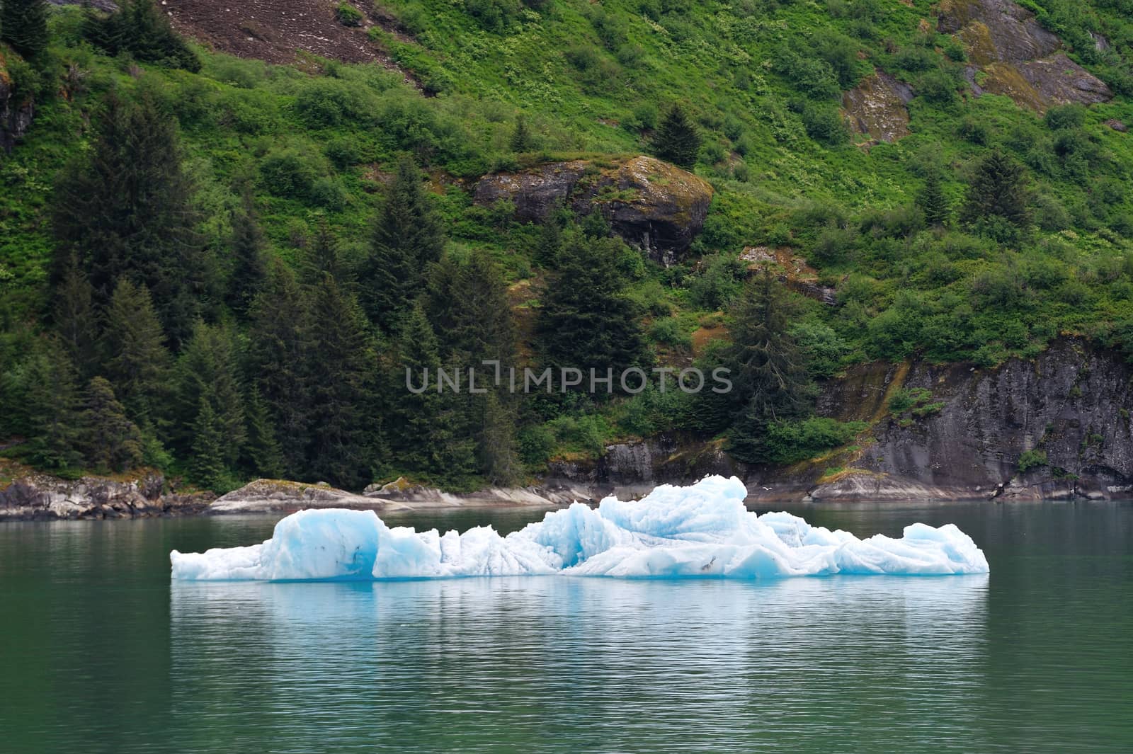 A view in Alaska