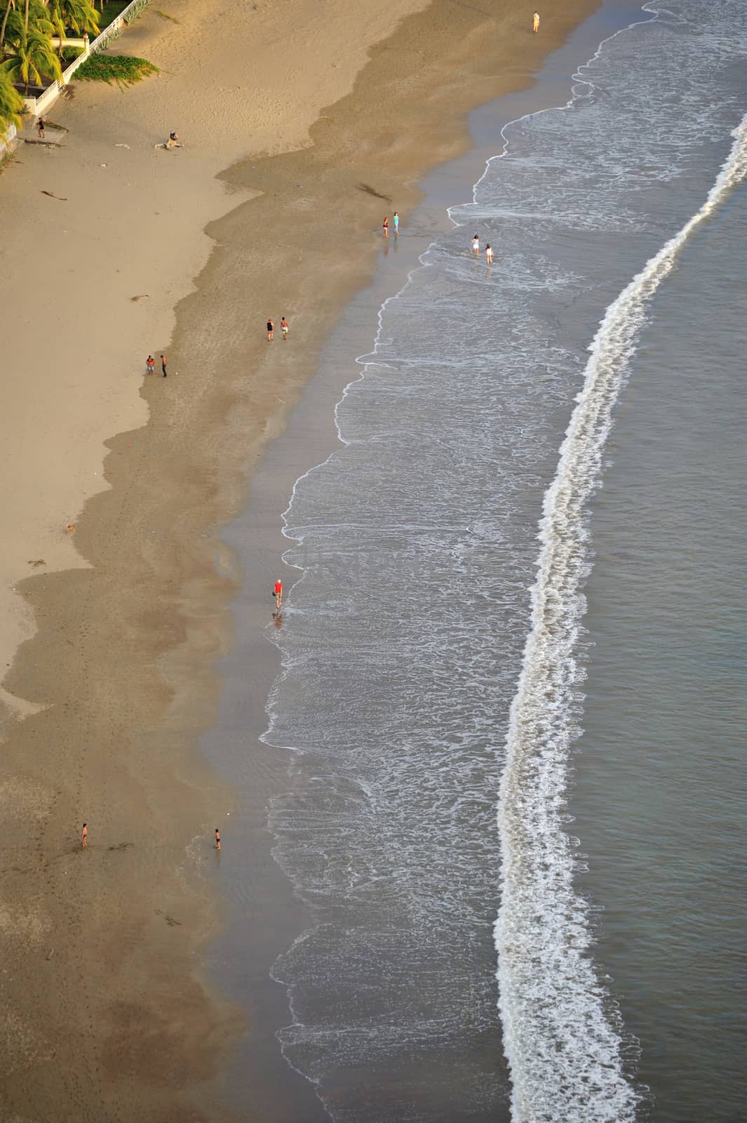 Wave is coming to the beach