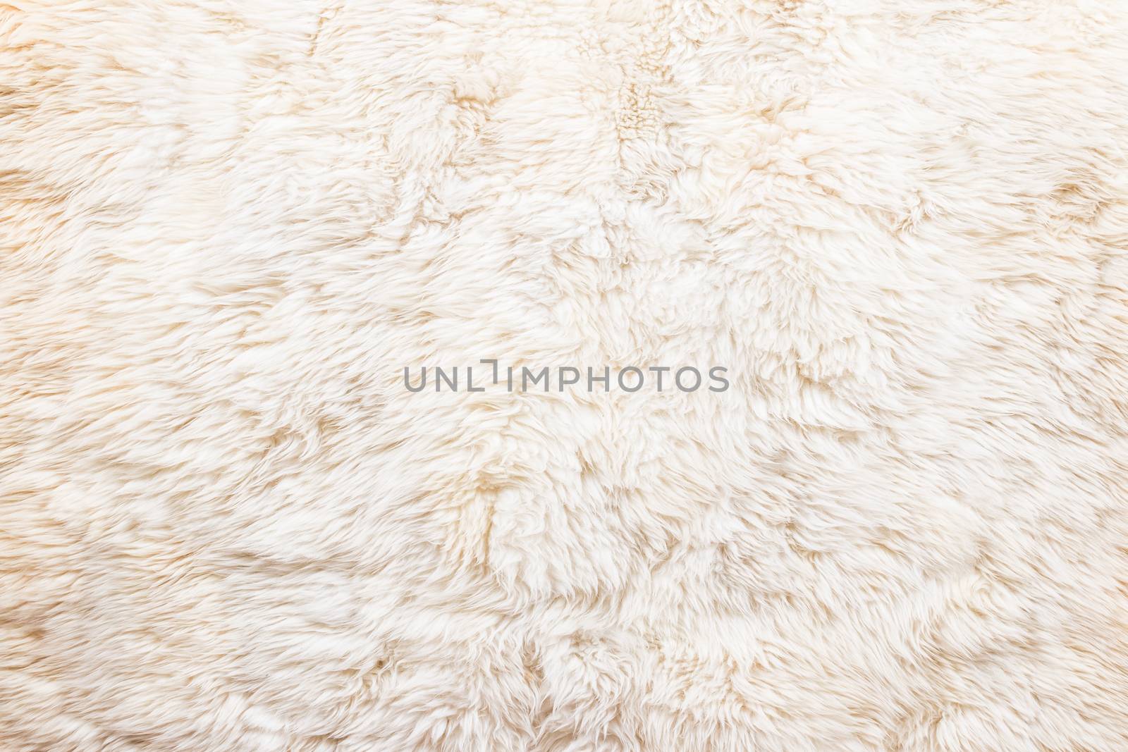 nice texture of white fur , use for background