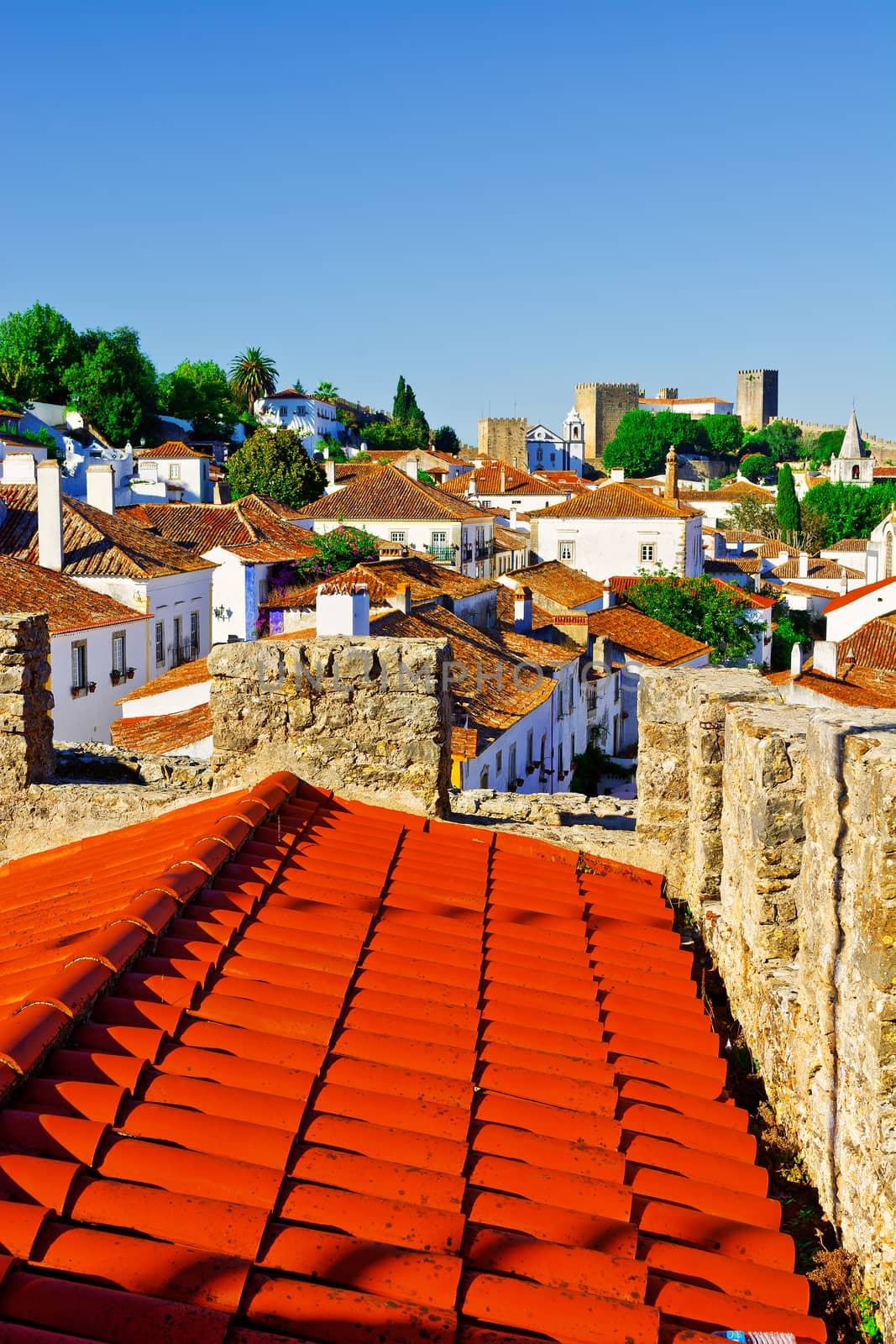 Obidos in Portugal by gkuna