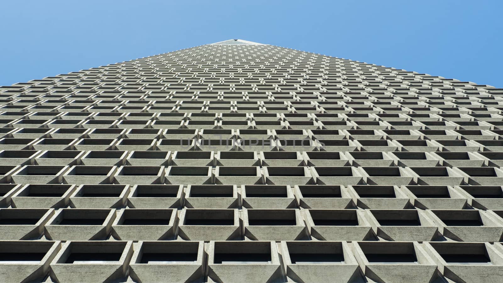 Transamerica Pyramid in San Francisco