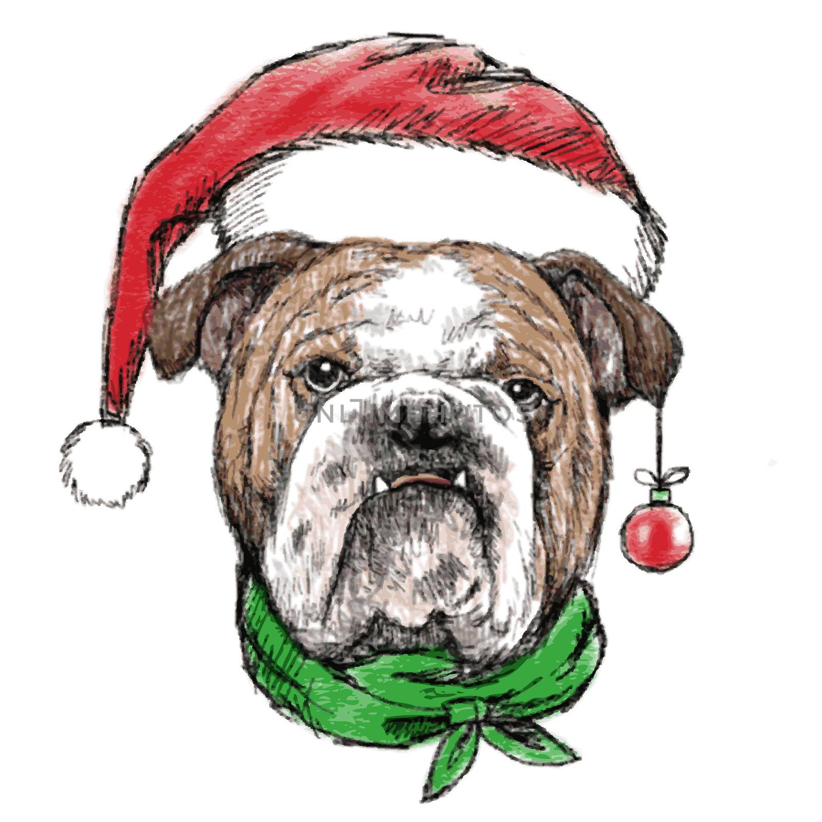 Head of bulldog with santa claus hat and  star , use for christmas background