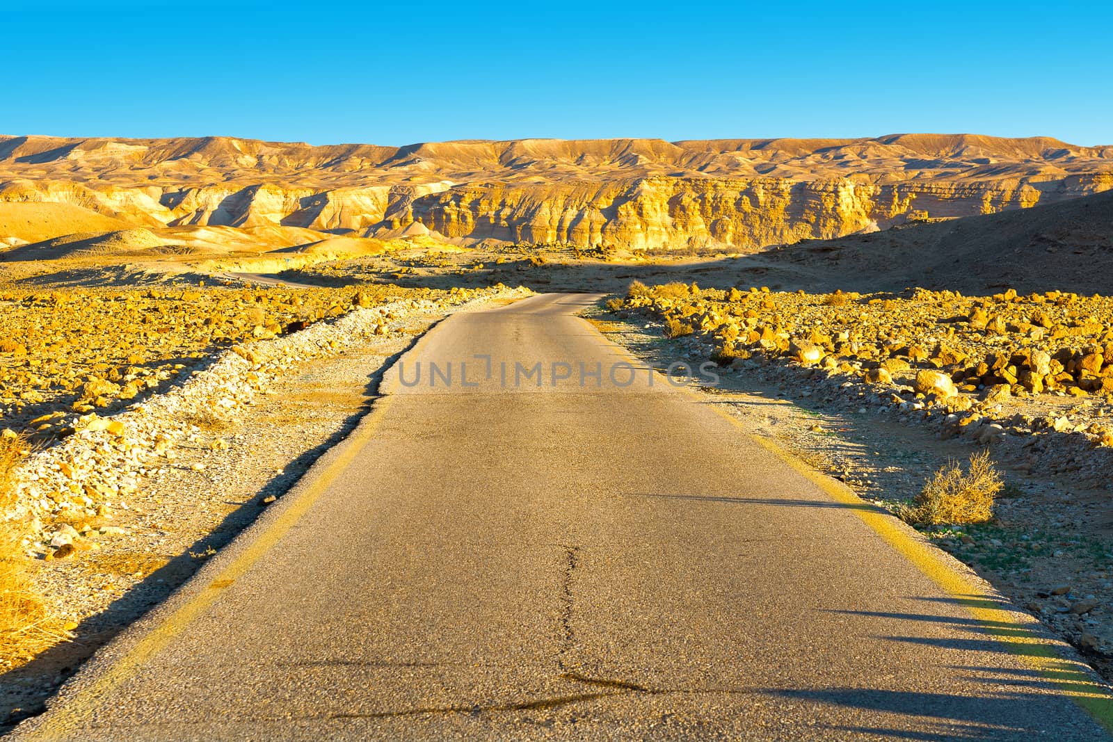Asphalt Road in the Negev Desert in Israel