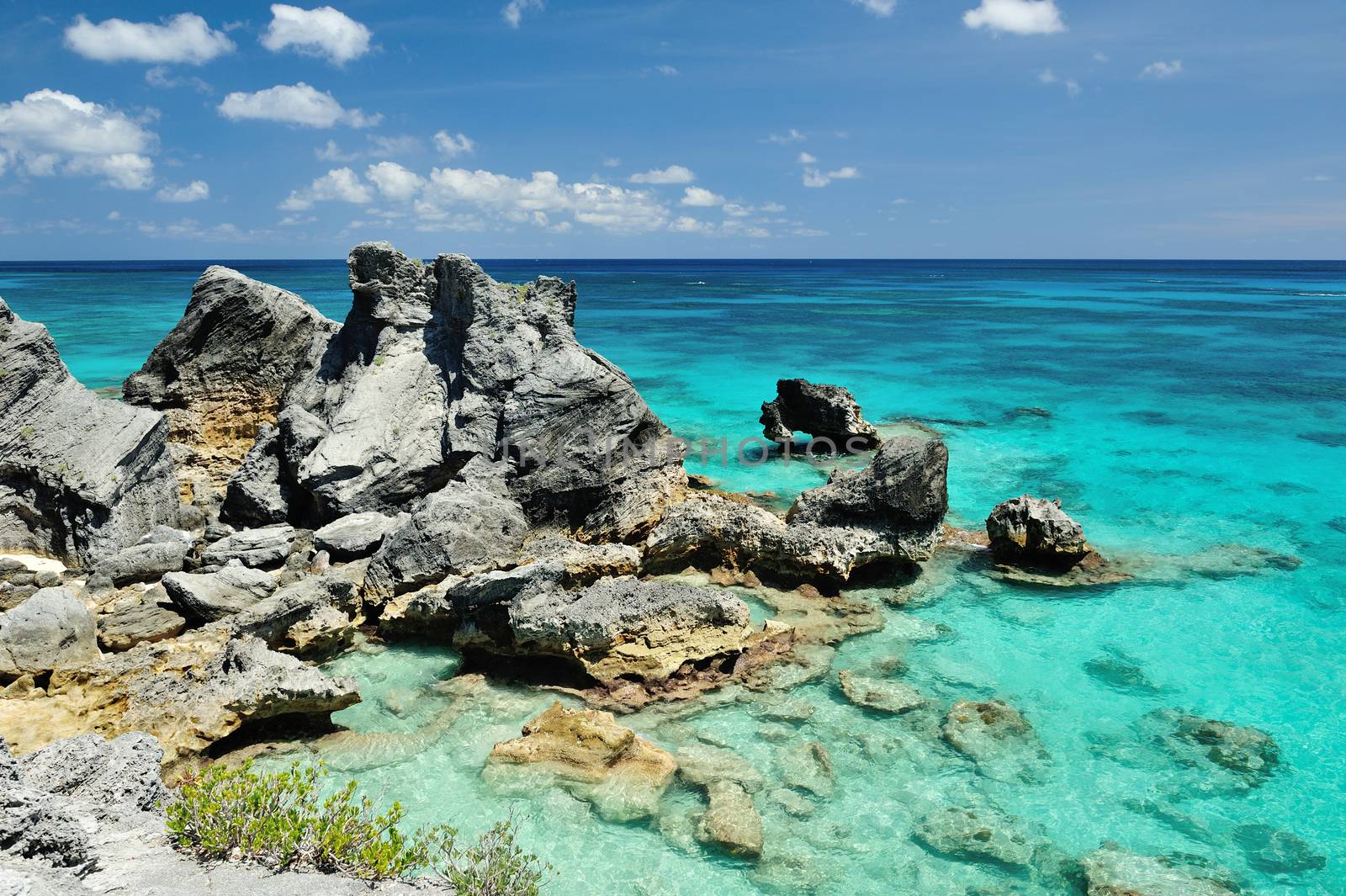 reefs on bermuda island