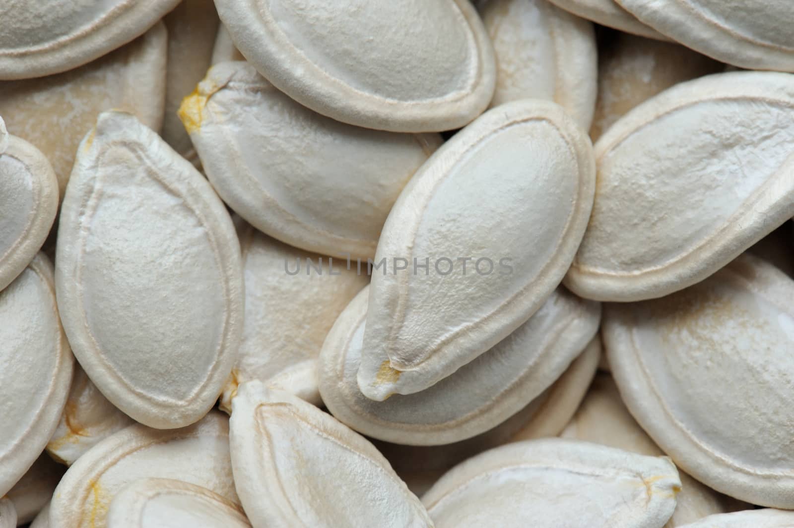 white pumpkin seeds