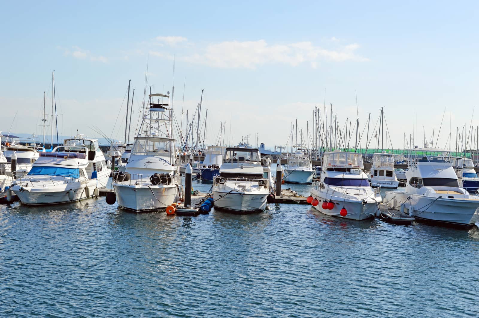Ferries on the port