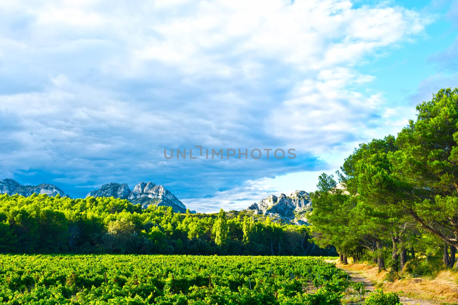 French Provence by gkuna