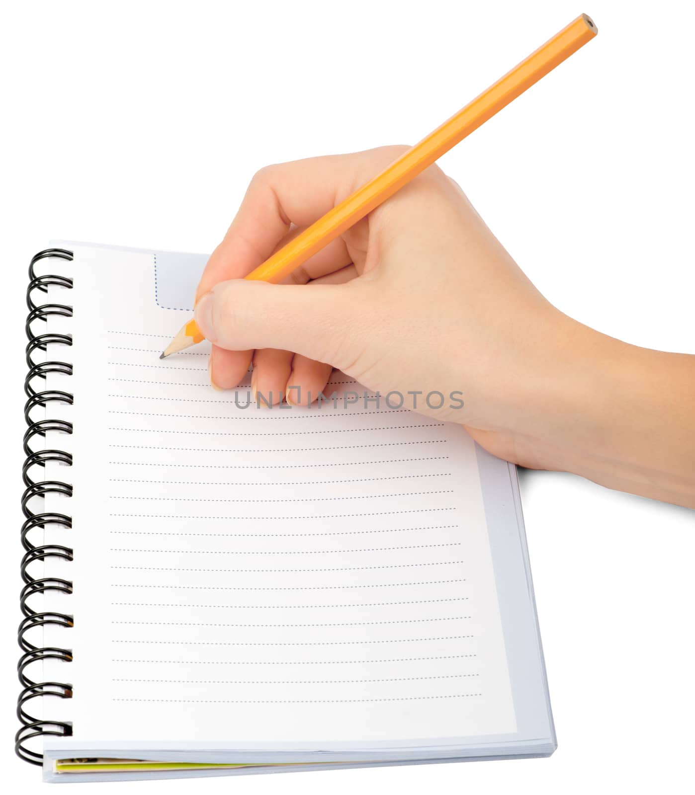 Hand writing in notebook on white background by cherezoff