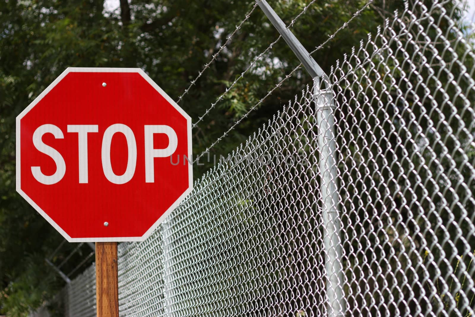 Red Stop Sign near the fence