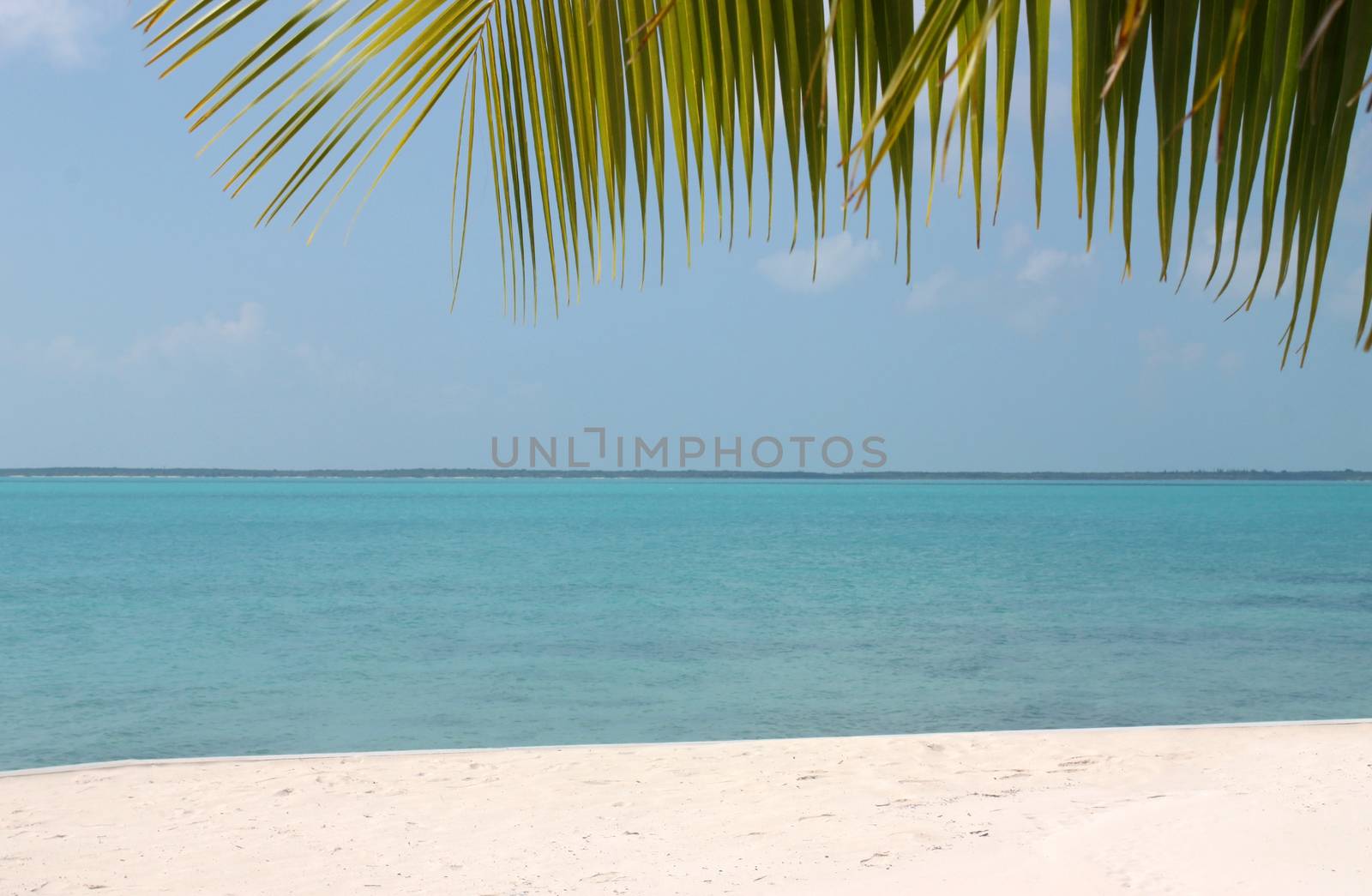 Tropical landscape of water, sand and palm leaf.