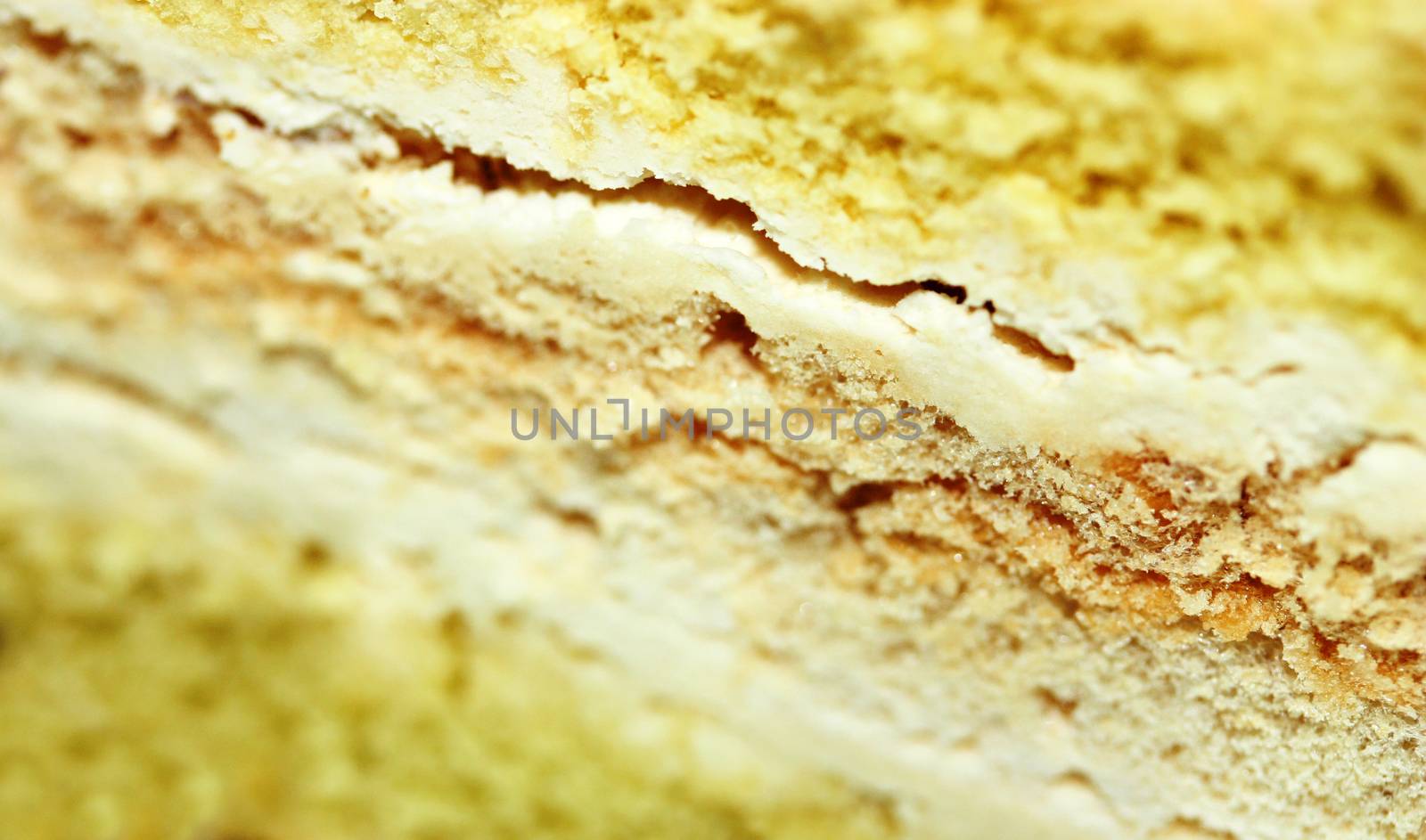 Close up of layered piece of cake